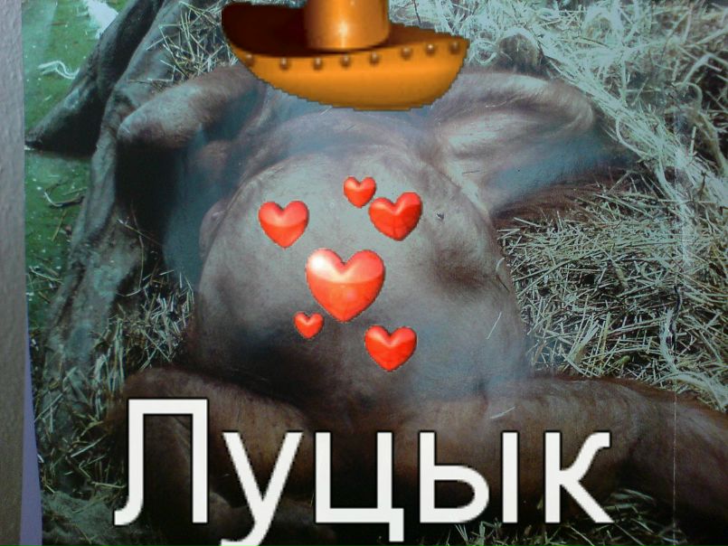 К@tюх@ Чеботарович фото №4