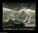 Катя Ярасимів фотография #29 (источник - https://vk.com/id78781632)