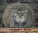 Дімон For you фотография #44 (источник - https://vk.com/id120368899)