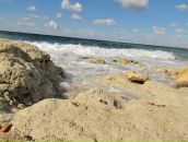 Сергій Гриців фотография #44 (источник - https://vk.com/id8004828)