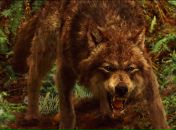 Фотография Лаврентьева Сергея