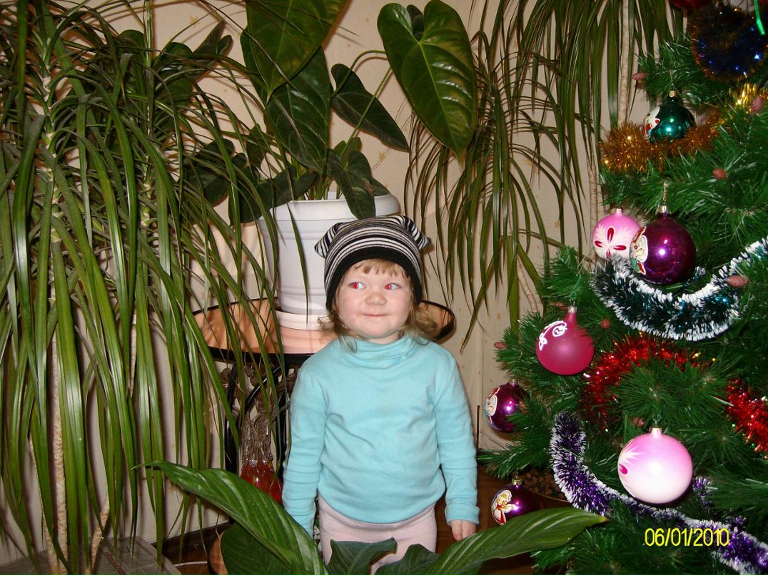 Дмитрий Волчёк фотография #2