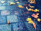 Фотография Кировой Александры