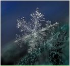 Фотография Федоровой Людмилы