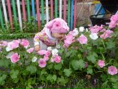 Фотография Московкиной Марии