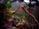 Світлана Рехман фотография #49 (источник - https://vk.com/id169088682)