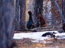 Андрій Дорошенко фотография #42 (источник - https://vk.com/id8194194)