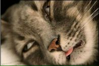 Фотография Рыбина Сергея