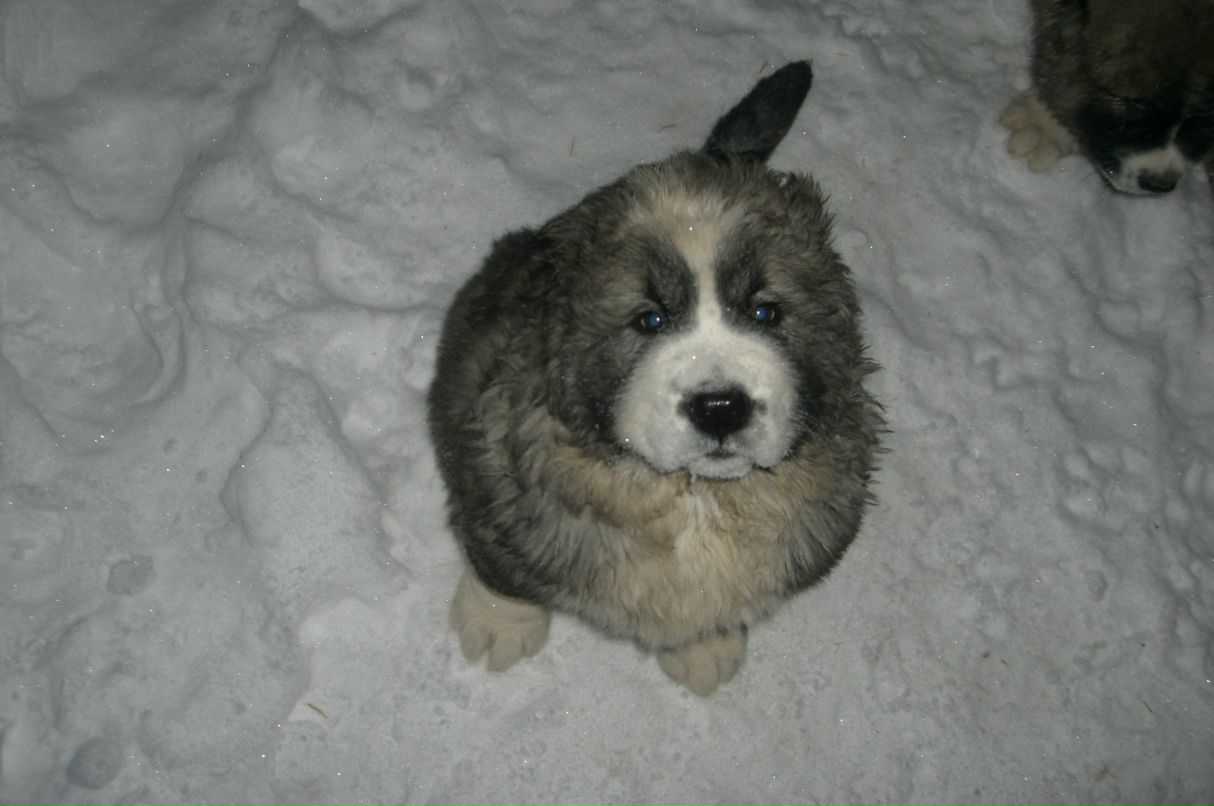 Константин Савин фотография #13