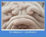 Фотография Кацай Елены