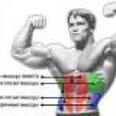 Владік Большаков фотография #25 (источник - https://vk.com/id63365394)