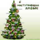 Фотография Коноваловой Екатерины