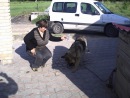 Юля Кушнір фотография #4 (источник - https://vk.com/id128607687)