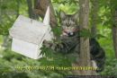 Ростик Галій фотография #43 (источник - https://vk.com/id116359909)