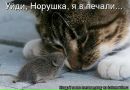 Марія Свиденюк фотография #50 (источник - https://vk.com/id162163943)