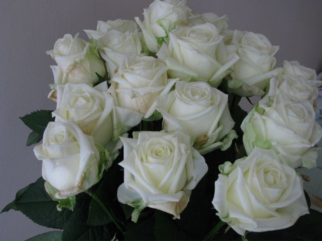 Игорь Селяков фотография #45