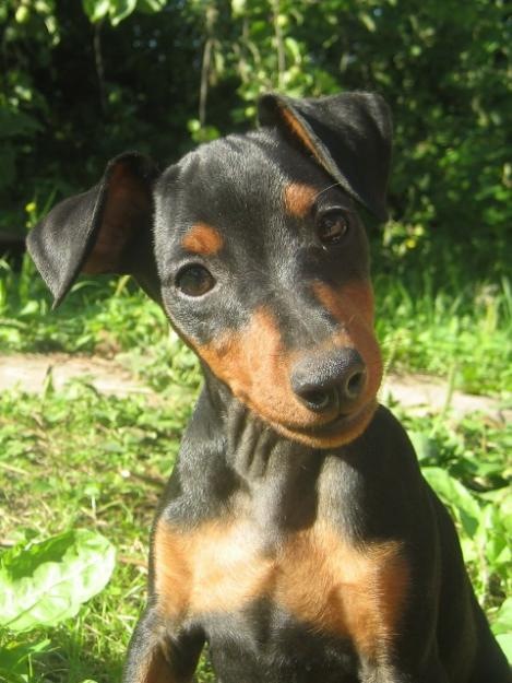 Вадим Кулл фотография #4