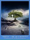 Віталій Ремінний фотография #41 (источник - https://vk.com/id22074833)