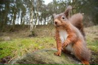 Іра Волинюк фотография #30 (источник - https://vk.com/id16112911)