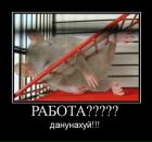 Дмитрий Перс фотография #45 (источник - https://vk.com/id70471600)