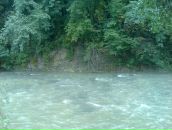 Леся Лісова фотография #29 (источник - https://vk.com/id16777672)