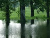 Антон Кушнір фотография #2 (источник - https://vk.com/id130937150)