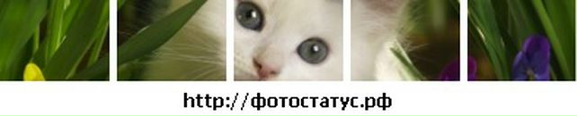 Юлія Крайничин фотография #35 (источник - https://vk.com/id138460244)