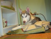 Криста Кул фотография #48 (источник - https://vk.com/id1845295)