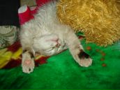 Фотография Барановой Полины