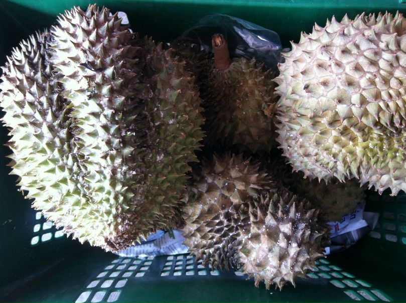 №3, Дмитрий Нестеров, 27.11 №3, Дмитрий Нестеров, 27.11