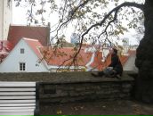 Фотография Тимофеевой-Поповой Надежды