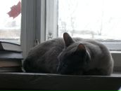 Фотография Волошиной Натальи