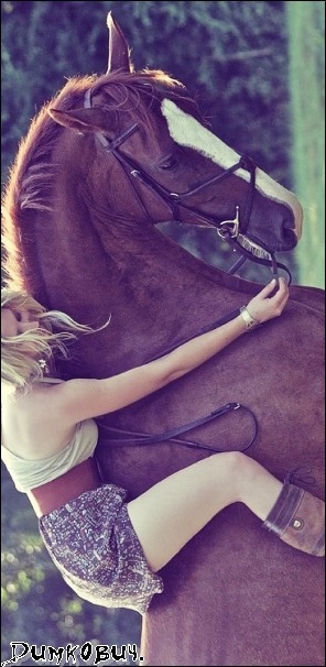 Дима Димкович фотография #8