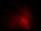 Bruce Raw фотография #13 (источник - https://vk.com/id629149)