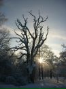 Фотография Хохловой Елены