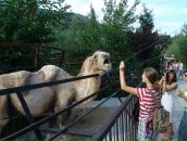 Фотография Савко Катерины