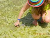 Фотография Сотниковой Гули