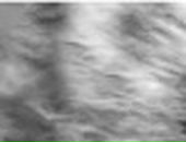 Иван Опарин фотография #46 (источник - https://vk.com/id200144)