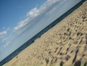 Віктор Бевза фотография #21 (источник - https://vk.com/id71881935)