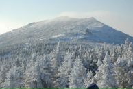 Фотография Фоминой Полины