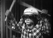 Андрій Занько фотография #27 (источник - https://vk.com/id6894300)