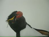 Фотография Киреева Андрея