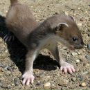 Фотография Новиковой Екатерины