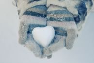 Фотография Ламантин Василины