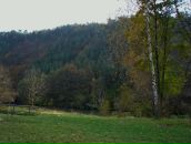 Влад Костін фотография #50 (источник - https://vk.com/id98607971)