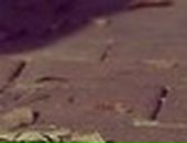 Володя Яковіщук фотография #2 (источник - https://vk.com/id78217287)