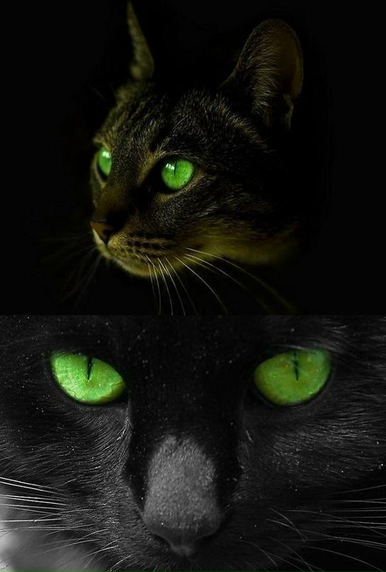 Дима Стащенко фотография #30