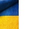 Діма Тетерлєв фотография #6 (источник - https://vk.com/id71463065)