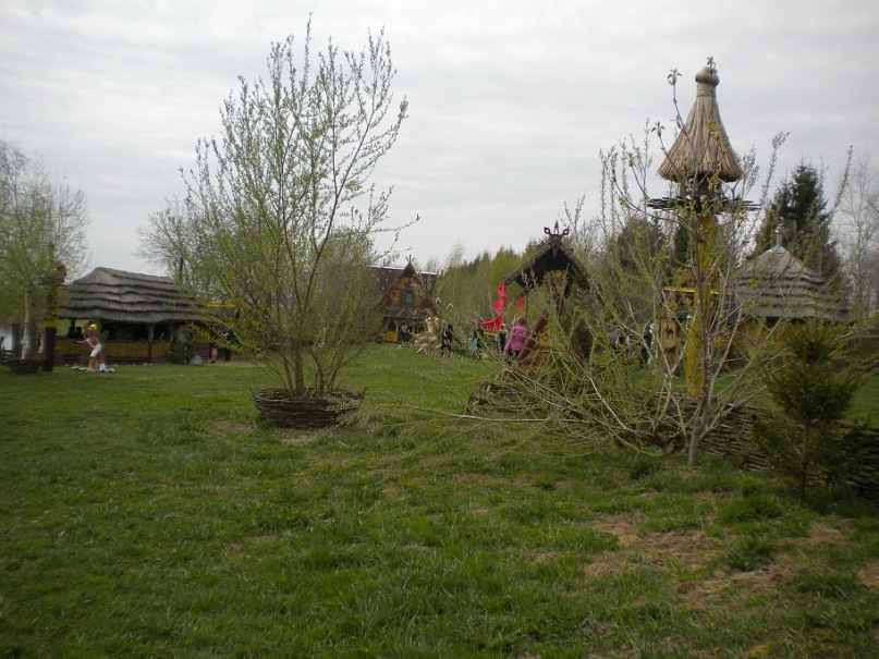 Дмитрий Царик фотография #36