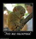 Петя Петин фотография #22 (источник - https://vk.com/id214173721)